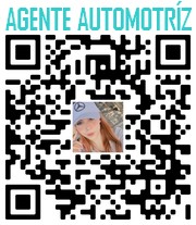 AGENTE AUTOMOTRIZ MERCEDES BENZ